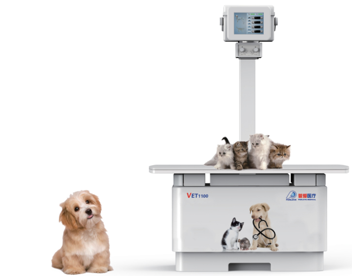 如何選擇寵物DR機(jī)？先了解這4點(diǎn)參數(shù)