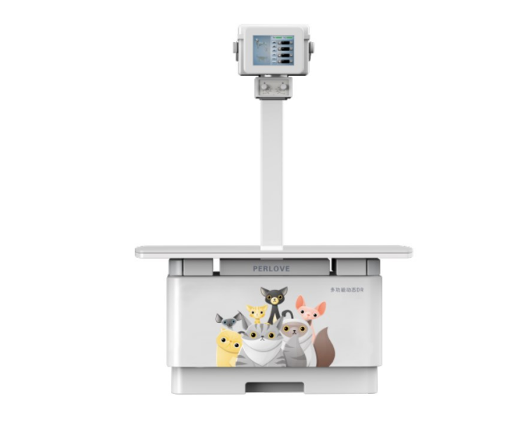 影響寵物DR影像質(zhì)量的動(dòng)物和人為因素有哪些？